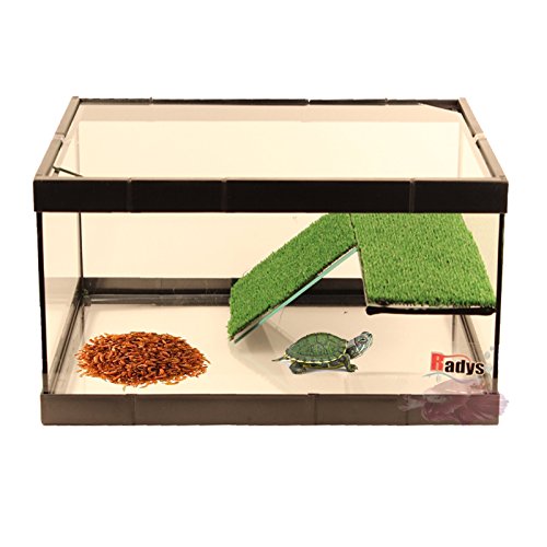 BETTASHOP.ES TORTUGUERA Cristal para Tortugas Acuario Mediana Tortugas