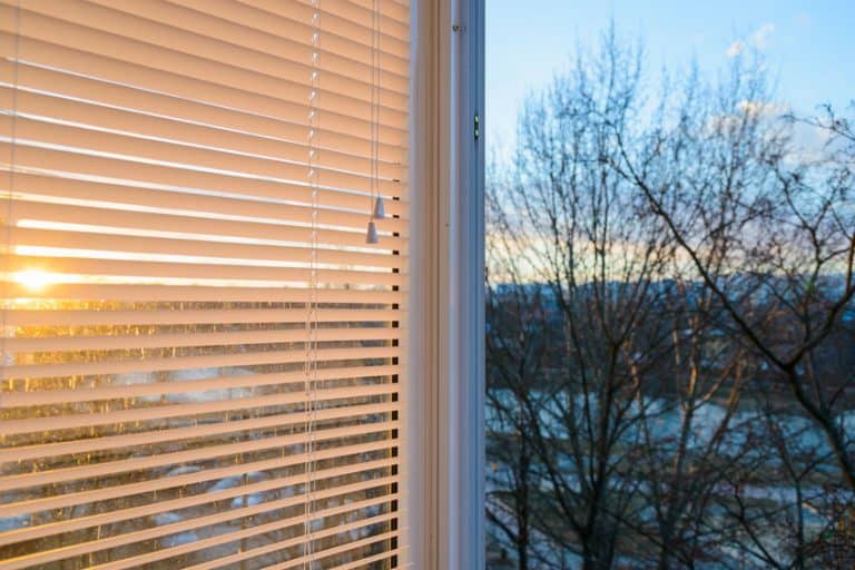 Persianas con vista al patio trasero